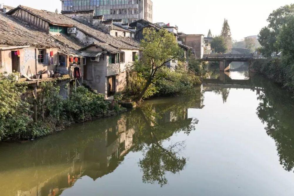 僵尸任务